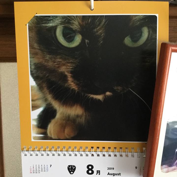 A90d9b18 b416 4ef4 a863 06f485ac7d51 1564622038439