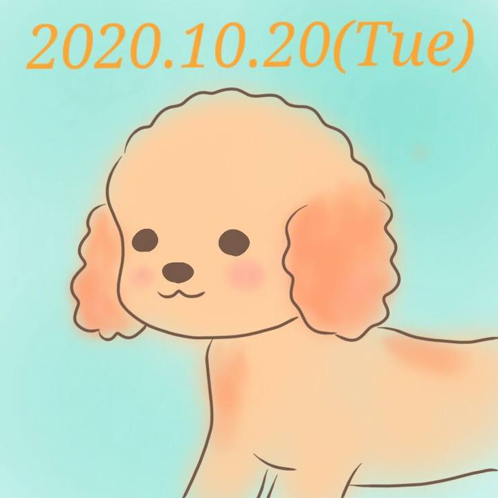 A90dad77 f381 43fa 91a1 c7575468e2f6 1603195265537