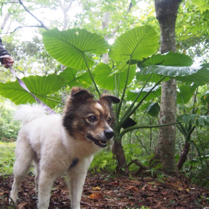 A90de4c0 7868 4644 a9fd 871ec9143e00 1527144040828