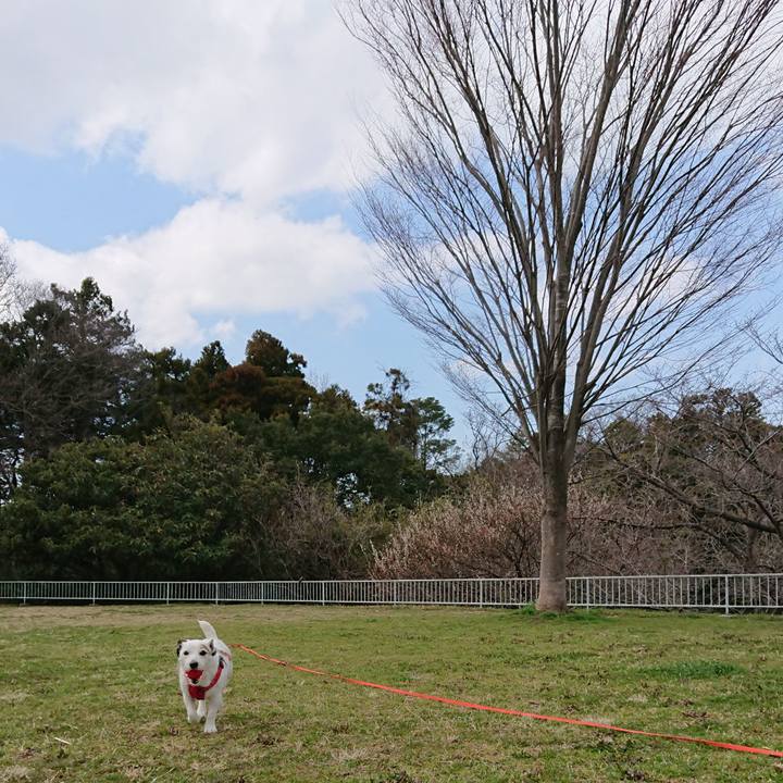 A90e3052 2b1d 4450 b51a b93140aabb1f 1520988092017