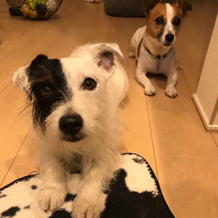 A90e52a6 77a9 4ab3 8e61 784babd90f01 1536141166018