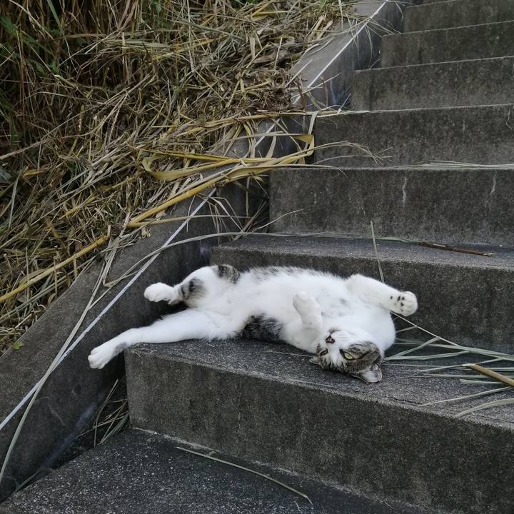 A90e66e9 a89d 4c8e b7c6 cc3c92f44524 1568030919891