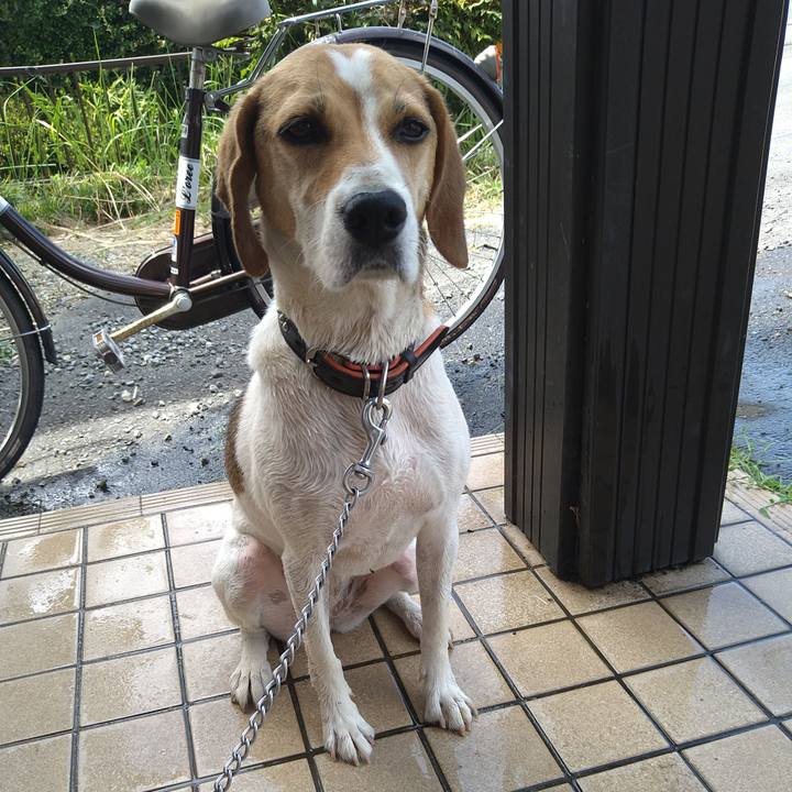 A90e86b0 a012 4528 9748 6270fcbb2d34 1627453325247