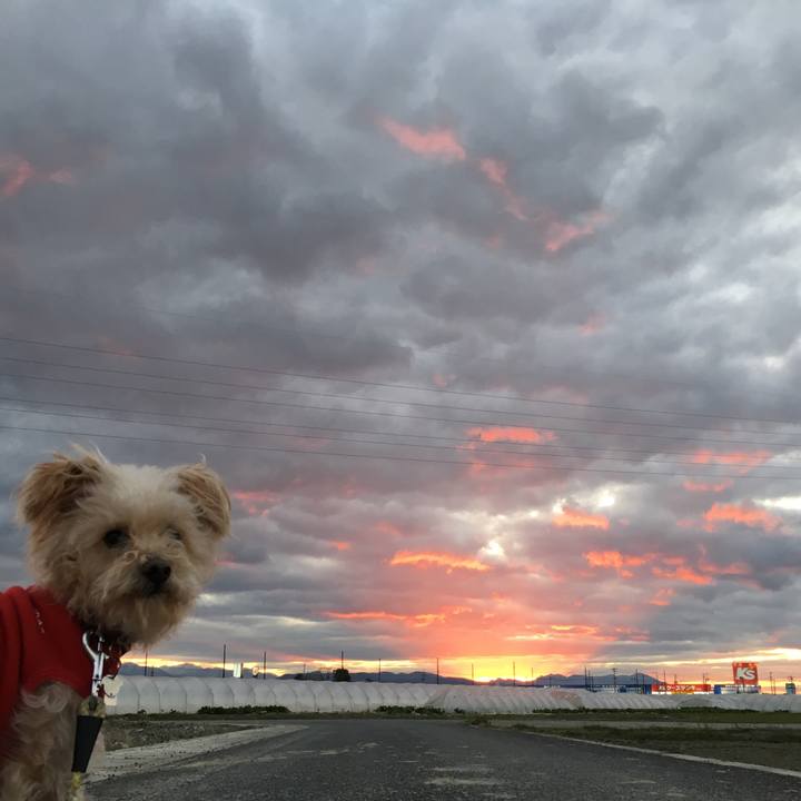 A90ea84f 53e2 4d4a 8320 bda754a60dfe 1546245840734