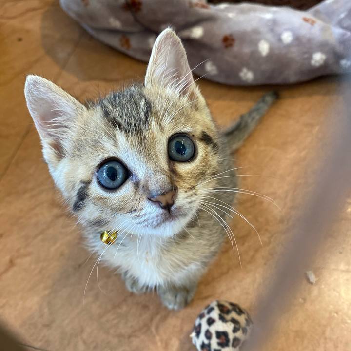 A90edc82 0c3c 4d7c ab4f 658c030f80e1 1621150663542