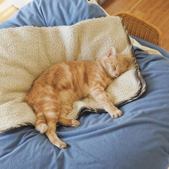 A90fe445 1890 47d3 89f2 55c2d466f1ec 1645431792667