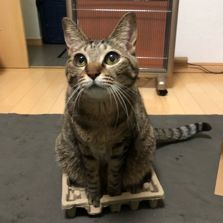 A90fe698 acd7 4432 b464 2c01c30c106b 1643058904625