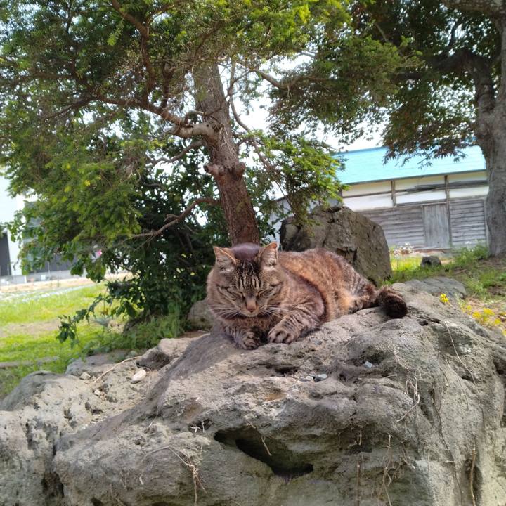 A9102b6b d9de 4f8b 846f e4de469075db 1685614644614