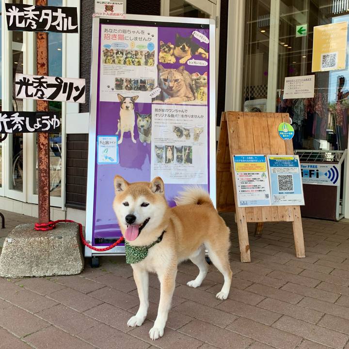 A9106417 8a02 4135 8b71 9bbe8b5043fd 1682155258824