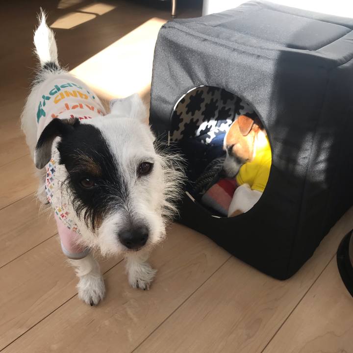 A91095a2 093b 4c0e 99ee a723d56ae54e 1543543797965