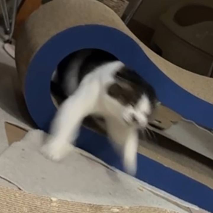 A9109f4d 100a 4b59 b852 fcc77ce8d4ac 1775354284775