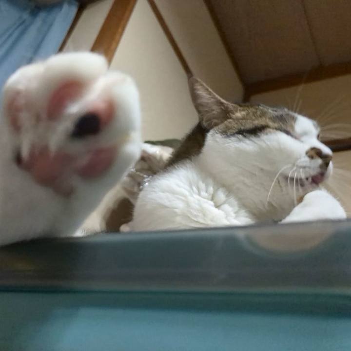 A910d13b d3a1 494d a7ce bf71ee255d7c 1753876790974