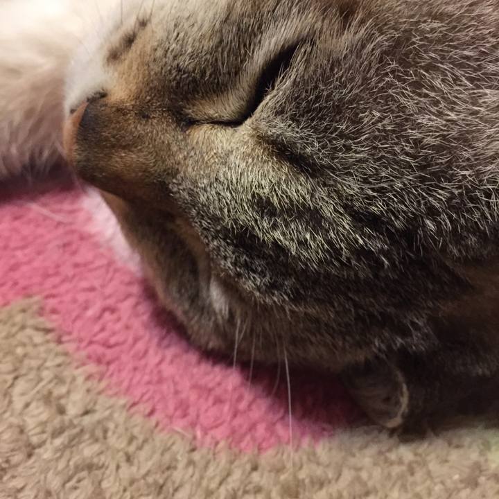 A911023f a129 4f56 a4be 3f20716329a8 1519135443728