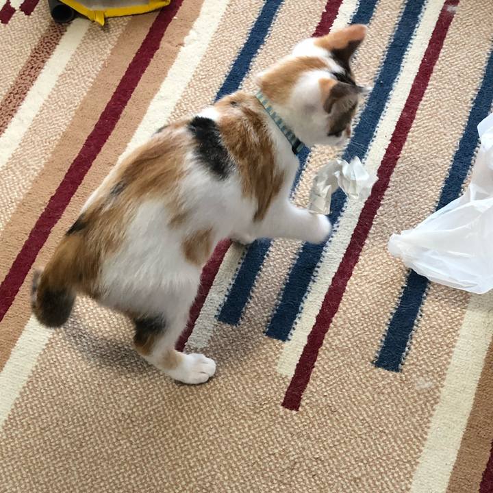 A91131e0 5bfb 48ed b519 cb9655f9a256 1564011523199