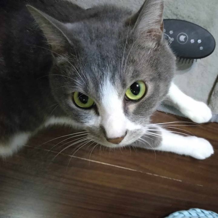 A9113f00 6956 4e89 aa34 63932e87cd5f 1688989846246