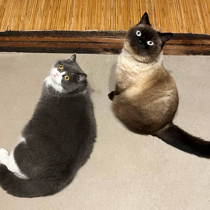 A9114351 f832 4546 8850 10c6495e0353 1651125821310