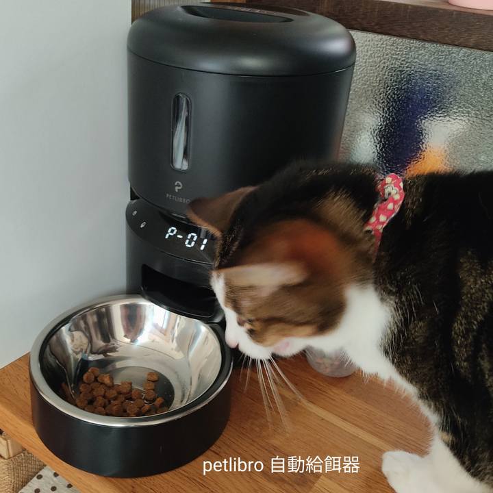 A911bea9 5705 4a61 8f14 13dac71bf72a 1631694131086