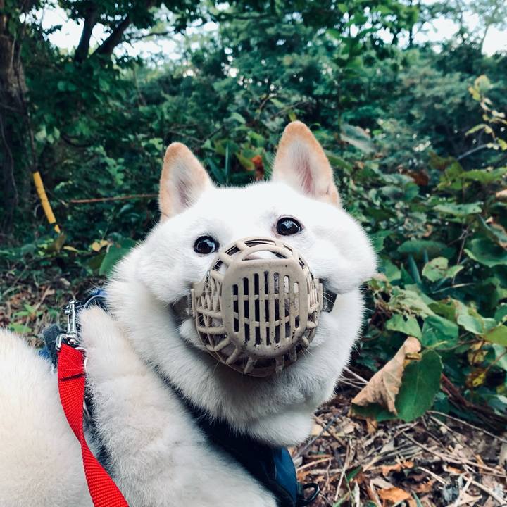 A911c1e1 6a3c 43fe 94c5 90b59ffc6739 1632003997248