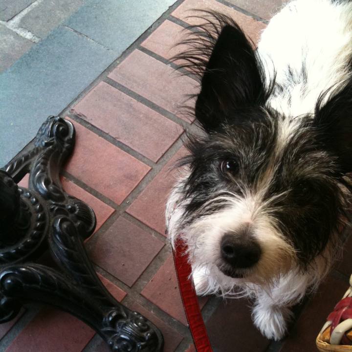 A911c904 13c7 447f 9751 5b46525a2873 1615291585806