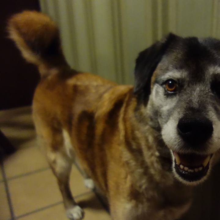 A911e6c3 b3b9 40bd 89ae a1e2f1ab61bb 1632961798489