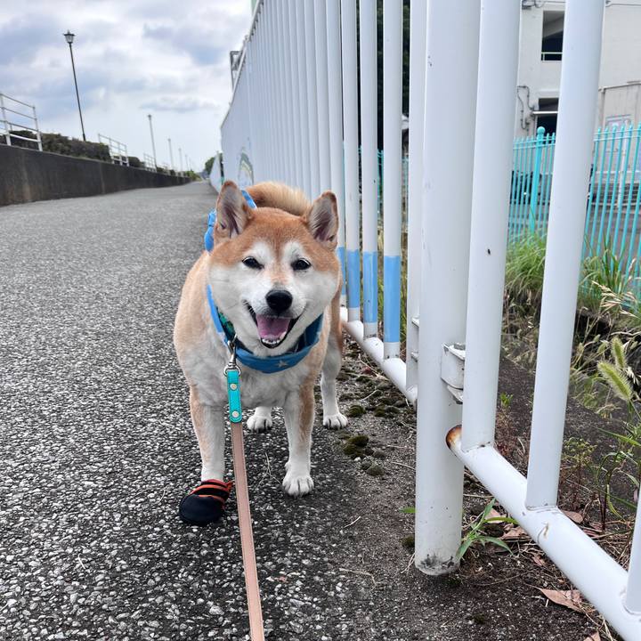 A911e7ba 5e1d 4f5a b313 d035bc7cfd2d 1722902795326