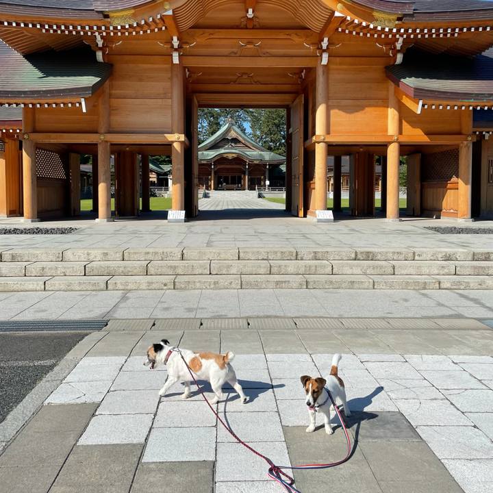 A911e9c7 4d4a 4c90 aab2 e4f780315426 1623886227931