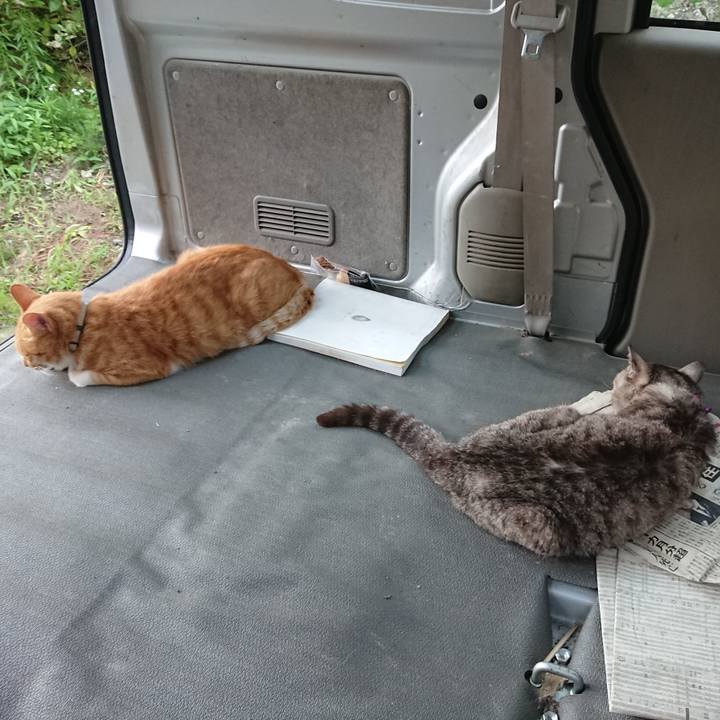 A911ef69 6344 4284 82e8 b69117cfab32 1596358751865