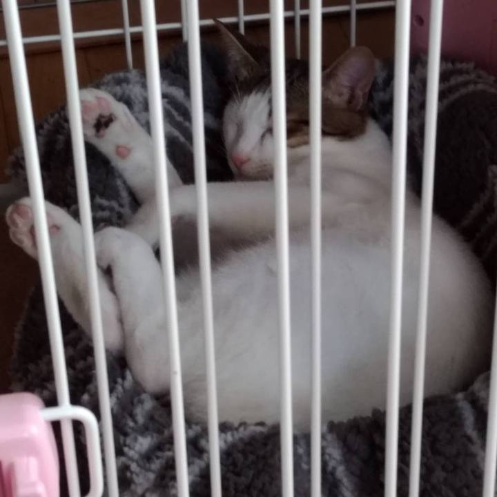 A911efa6 ee72 4e40 ada0 33258f77ae51 1662626011346