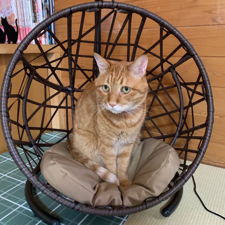 A91240e5 f586 4297 8927 ac01a229ad6e 1563163247018