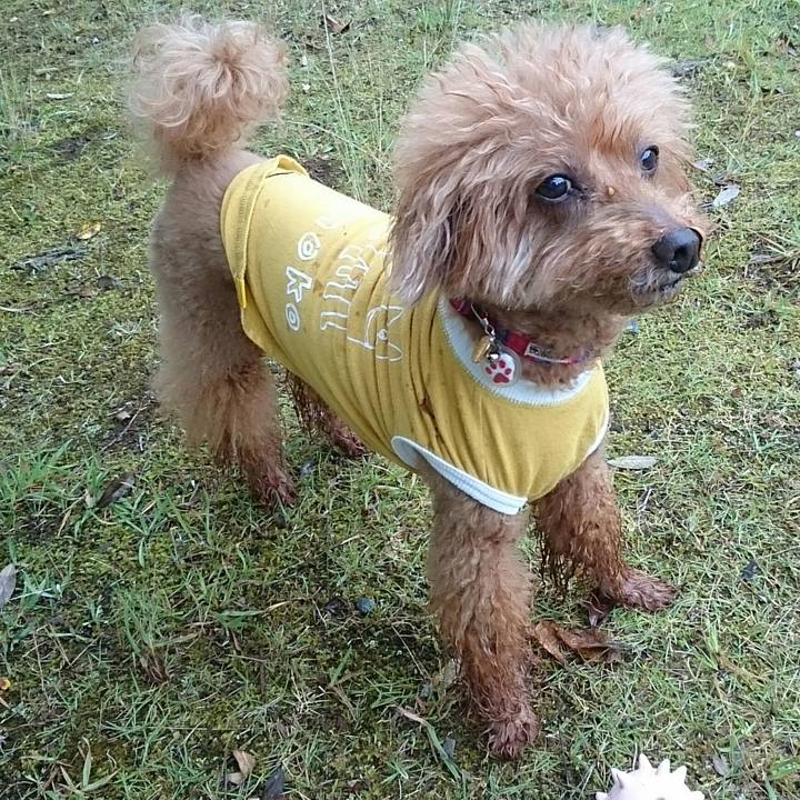 A9124883 edb1 4637 8779 76f03adcdb0b 1530851984846