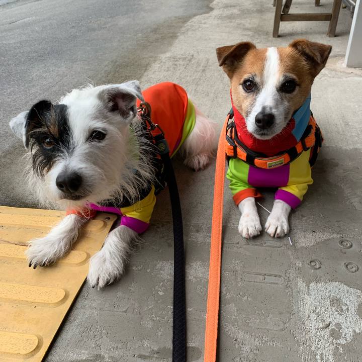 A9125f67 1e2d 4d5e 9b25 a8f3ca2fdc9f 1639704322252