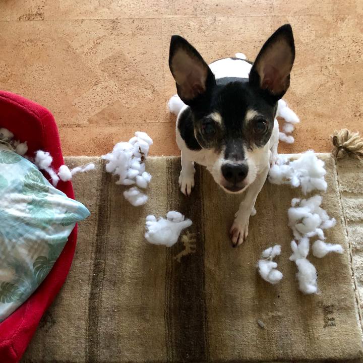 A912a6d9 3683 4596 b9e7 abfe30c299ae 1566856921963