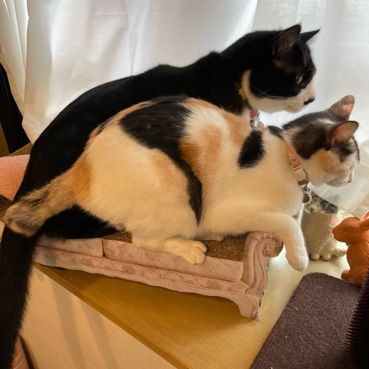 A9130d48 a8c9 4748 9cc9 235fbb262a35 1696462321883