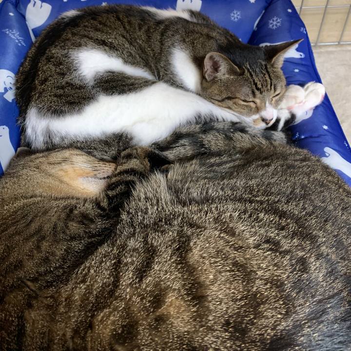 A91343eb 9cd9 410e ae71 944c54d7e772 1564101274545