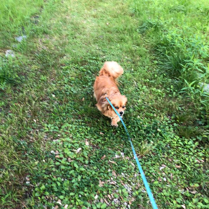 A913644d 1f6b 4508 b7a0 641cd3efb77d 1560980319260