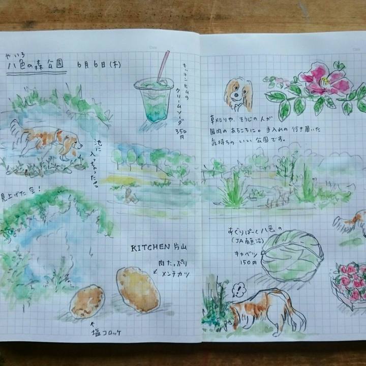 A9136b89 c07a 426d a9d1 989ba73d5cbf 1559801910577