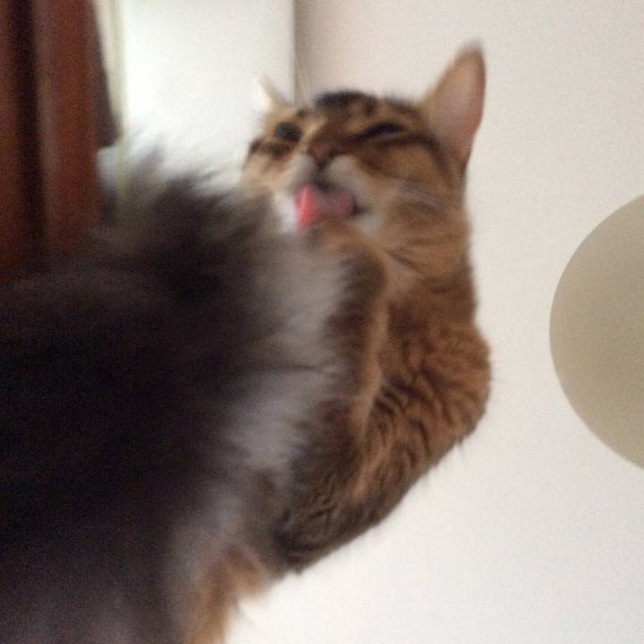 A913d299 b73f 4c0c a121 b8864ae54d0f 1567200257105