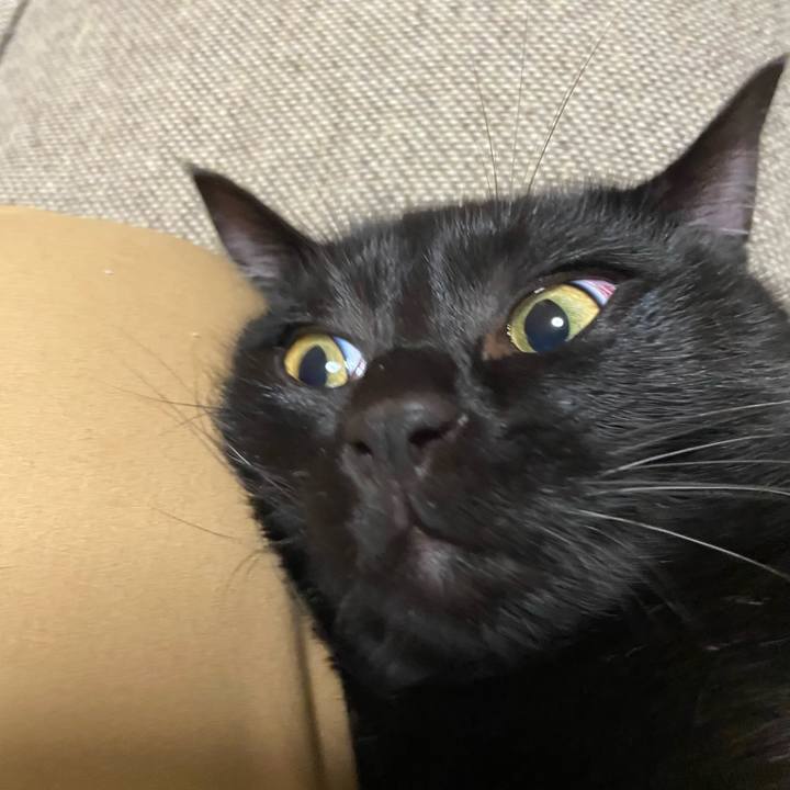 A913f1c6 df0f 4c4f 8edd ccc74fa60b4f 1620732941891