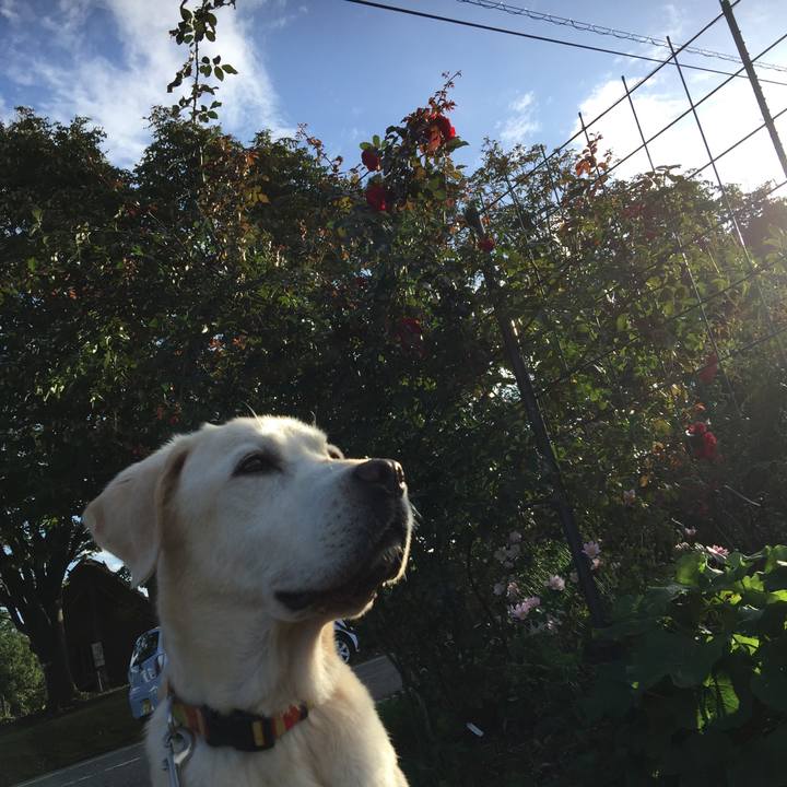 A914572a 0e7a 42cc b1ee 09a69de13db5 1538467182091