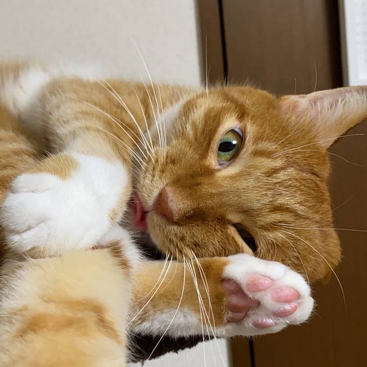 A914678e 50d7 424c 8467 e1b4dc3bb1cc 1601690096118