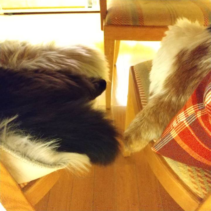 A914aaa5 d664 4081 accf 789e65d931ac 1610012547449