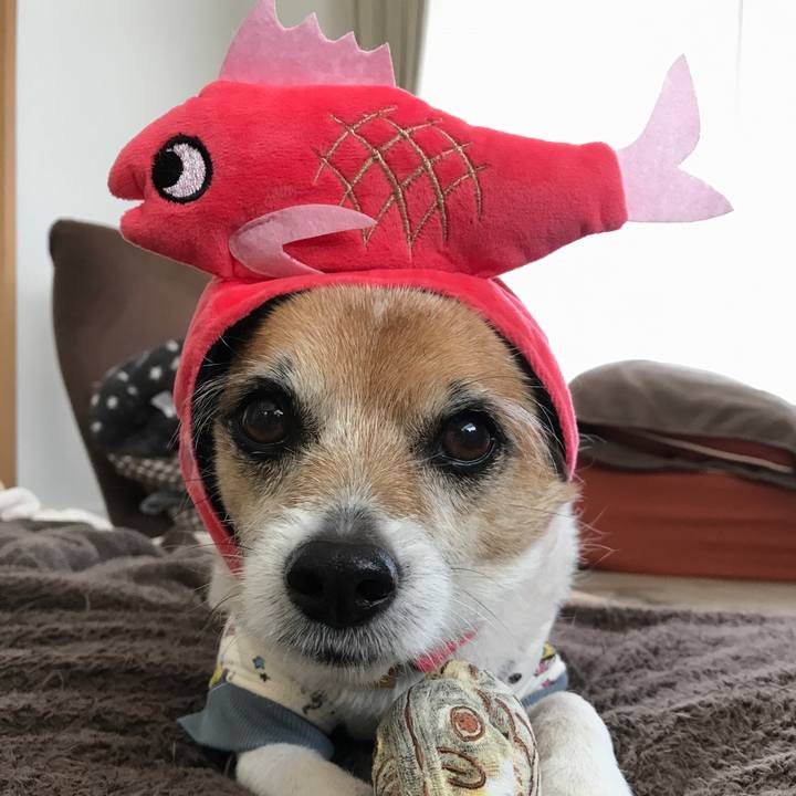 A9154f30 ac90 4f6f 8e29 19427d5daaf1 1584698537801