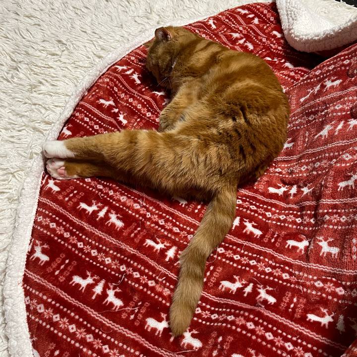 A9154f9e a79b 4be4 816f e649c191aae7 1681638232570