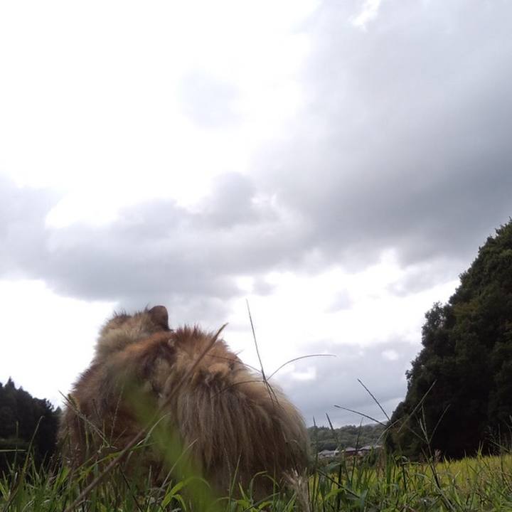 A9155814 8c29 4a56 8212 58cd5908ba89 1550621940880