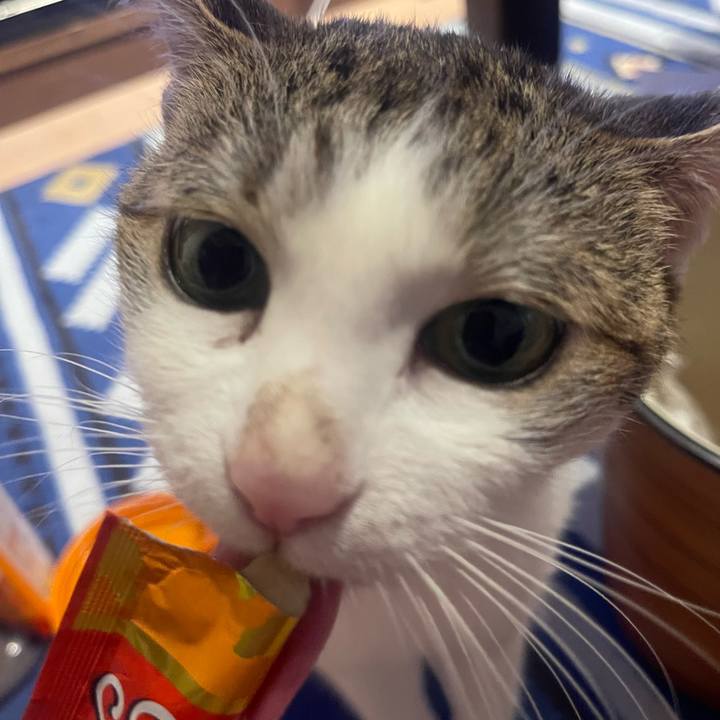 A9158bb9 9ede 4b16 af60 cfec09895853 1660377562653