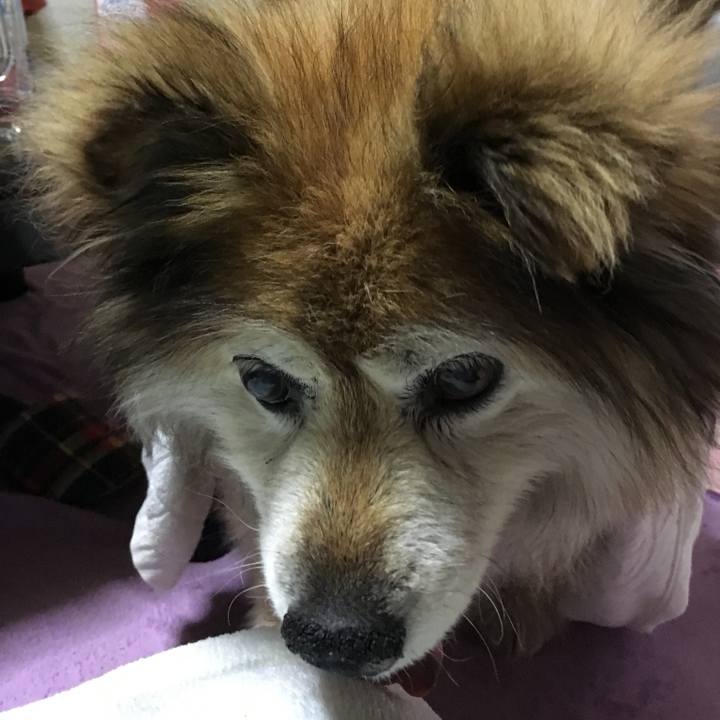 A915ae18 ed25 4f26 b0b2 54069d958fbc 1576232589735