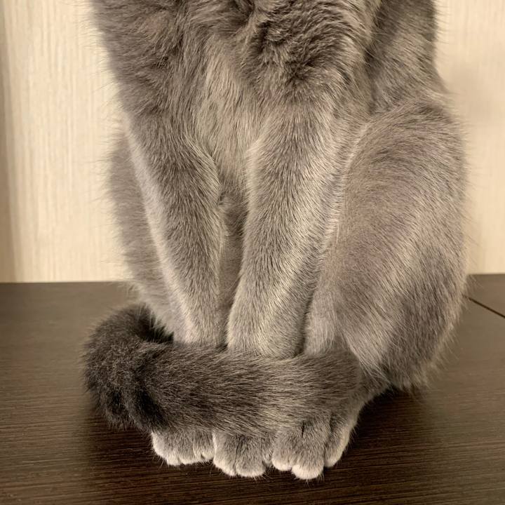 A915bd73 13af 4d45 9257 748e343cb3a0 1612393191969