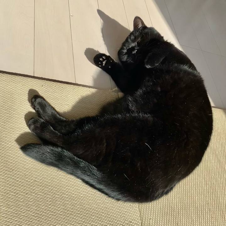 A915cbcc 6237 44fe 9a27 fb0dc2494046 1773642960902