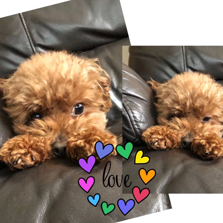 A915f35c de60 487c 900a 913fbd515a16 1554761440964