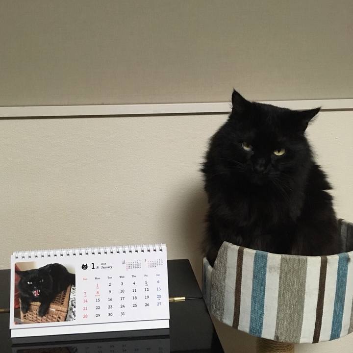 A915facf 1ce2 48c1 8173 ed1b257a0ca3 1515927962367